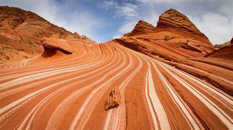 coyotes buttes